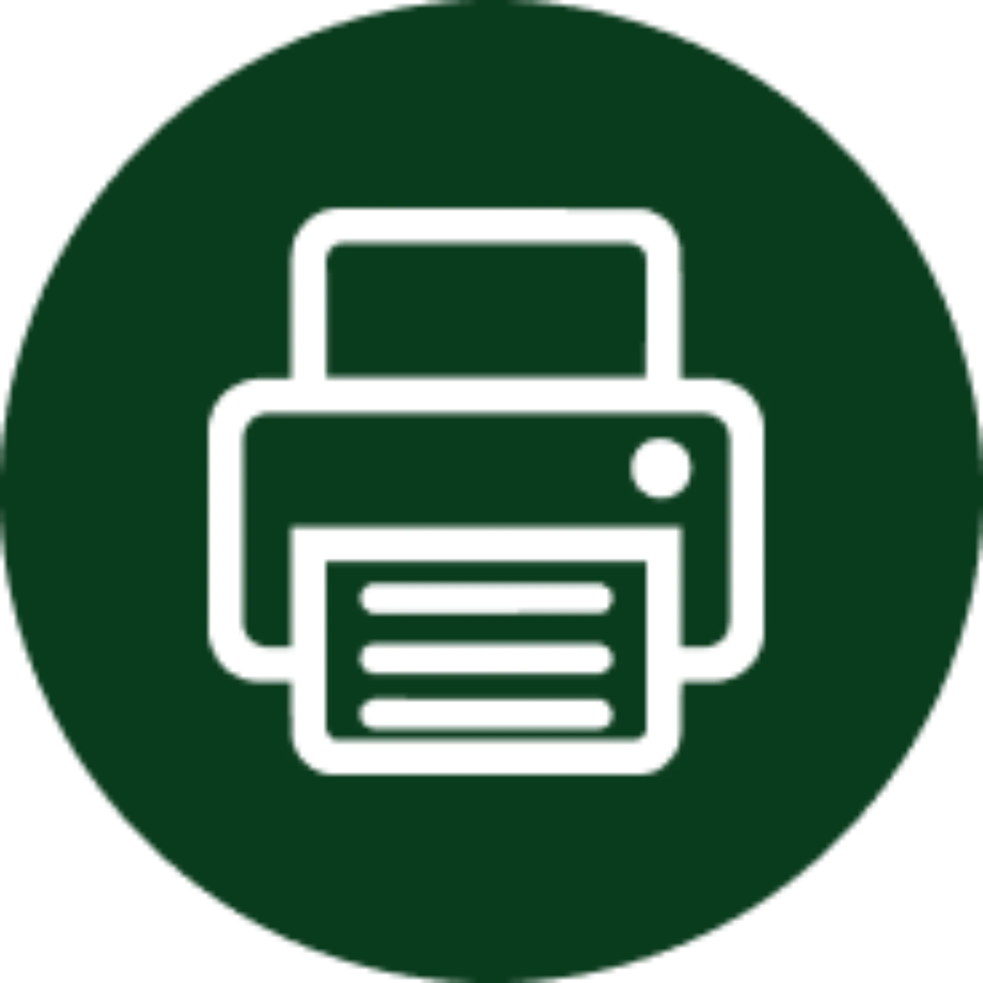 print icon